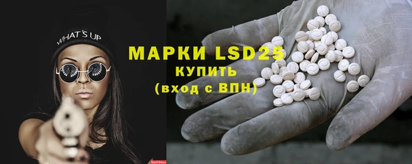 индика Майский