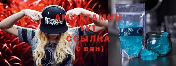 индика Майский
