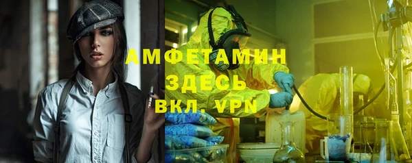 индика Майский